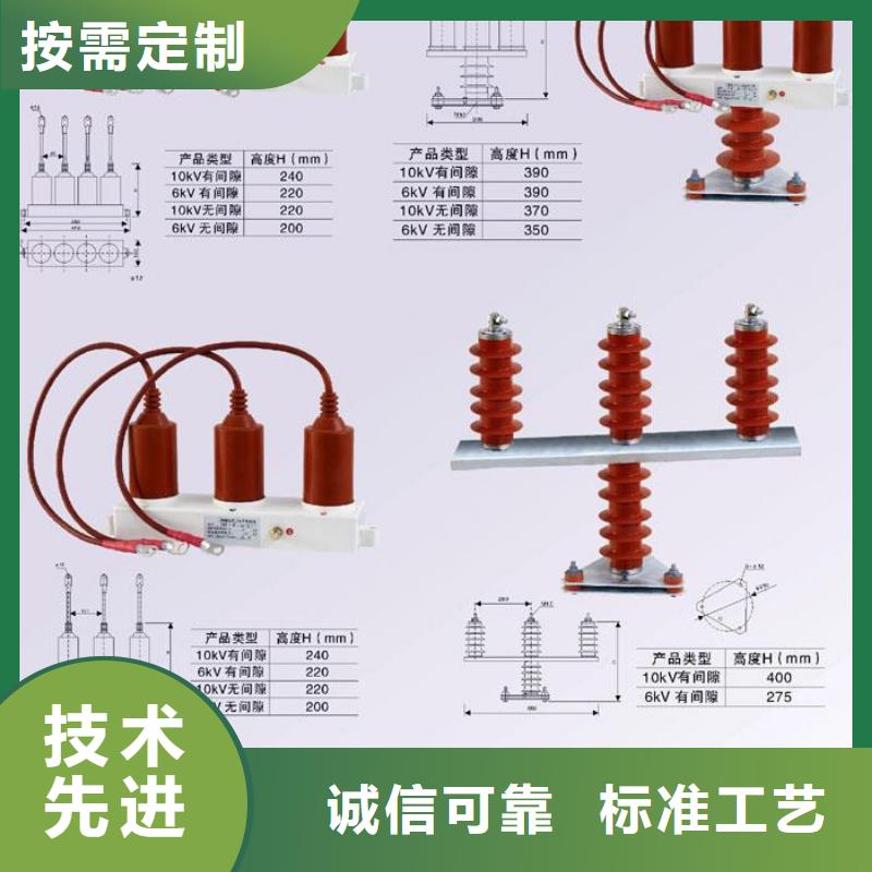 过电压保护器(组合式避雷器)TBP-B-6.3/85