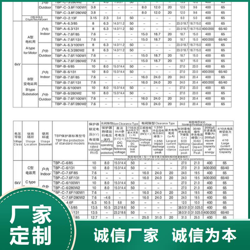 过电压保护器(组合式避雷器)TBP-B-7.6F/100W1