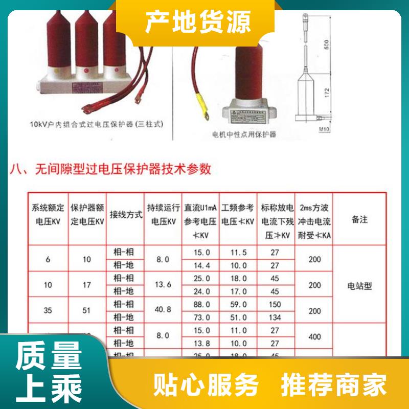 【组合式避雷器】TBP-A-35/310