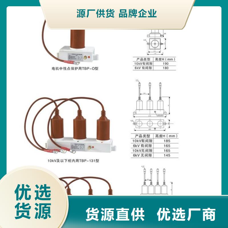 保护器(组合式避雷器)TBP-W-O/10-T组合过电压保护器