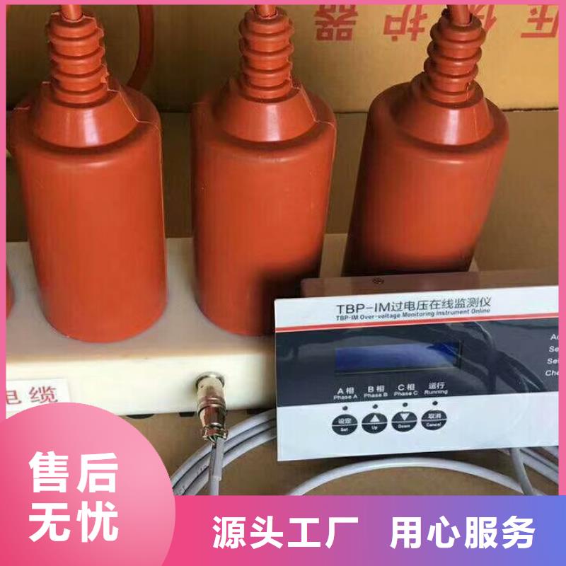 过电压保护器(组合式避雷器)TBP-B-10.5/85-J