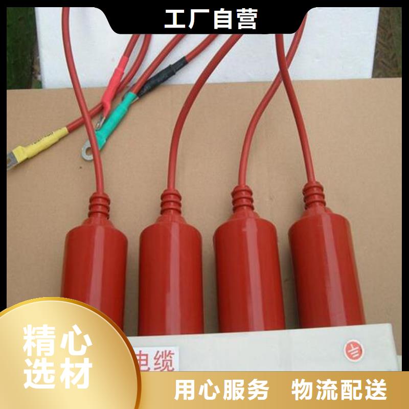 过电压保护器(组合式避雷器)TBP-A-42F/400W1