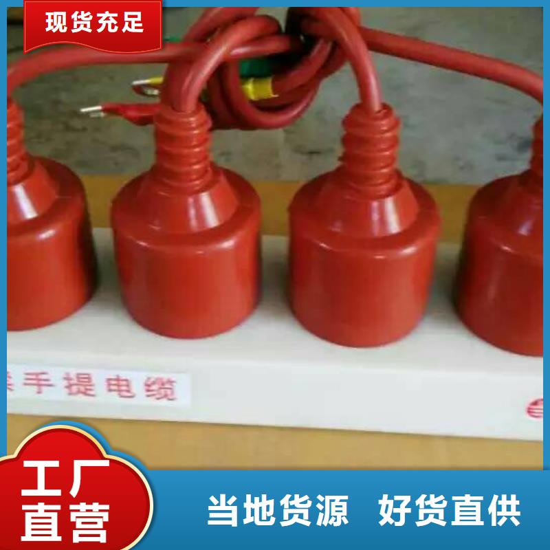 过电压保护器(组合式避雷器)TBP-A-42F/400W1