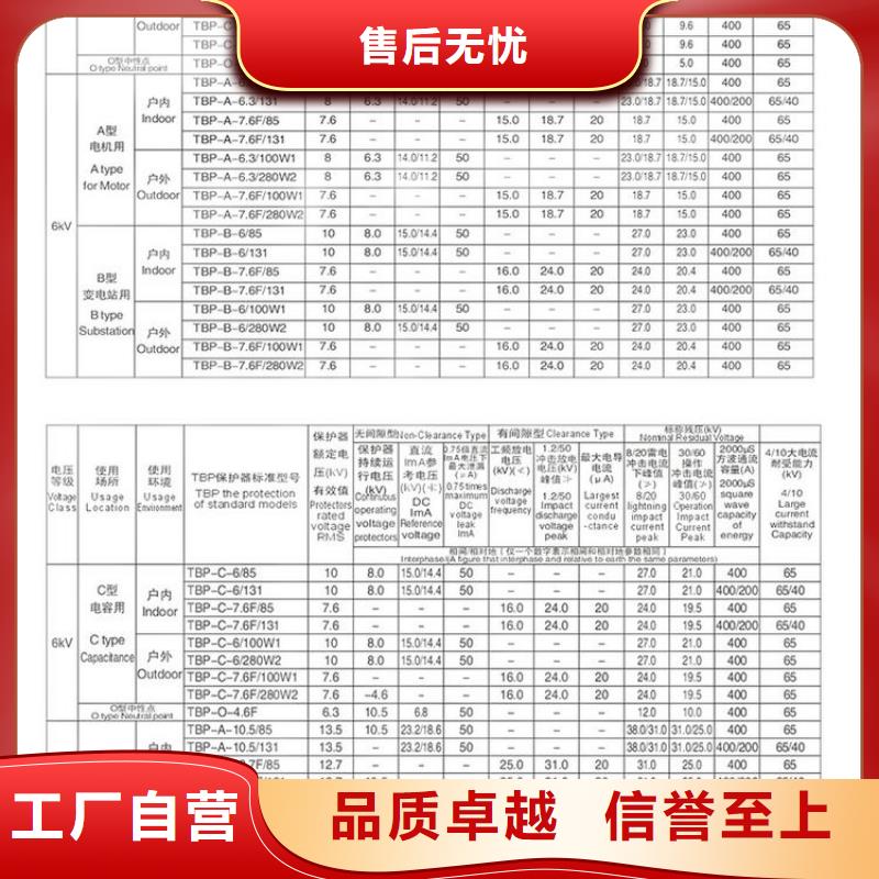 【组合式避雷器】TBP-A-35/310