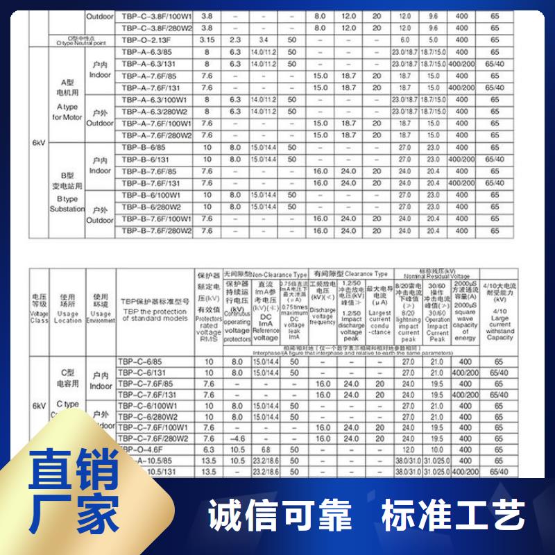 过电压保护器BSTG-B-42