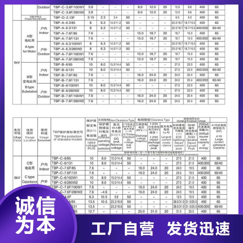 过电压保护器TBP-C-7.6F/131-J