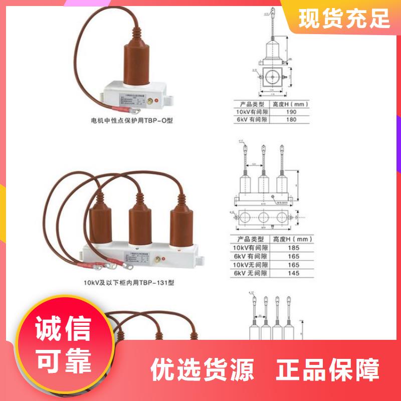 过电压保护器(组合式避雷器)TBP-B-12.7F/85