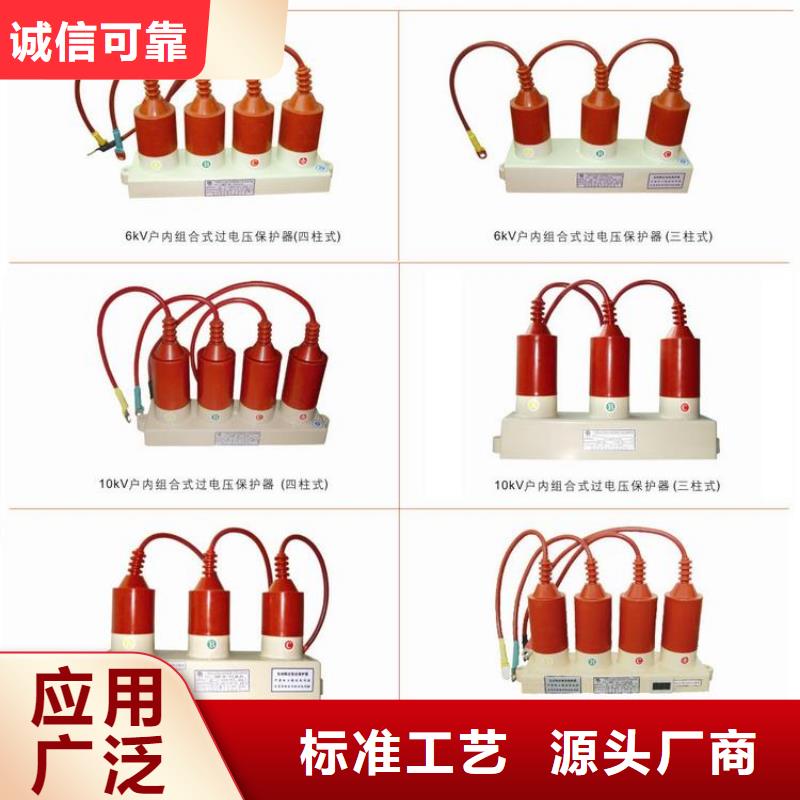 过电压保护器(组合式避雷器)BSTG-C-7.6/131