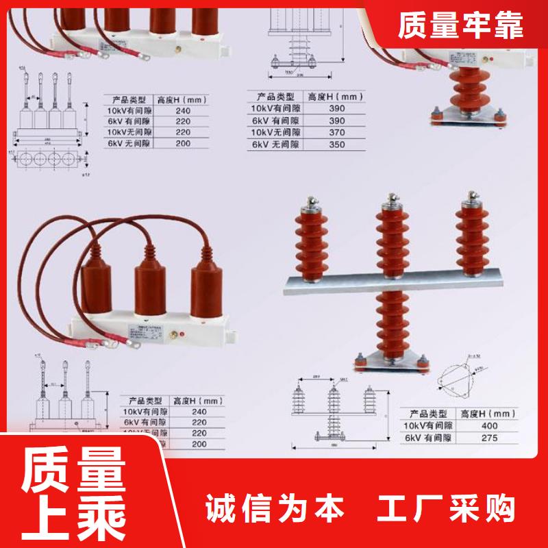 过电压保护器(组合式避雷器)TBP-A-12.7F/150-J