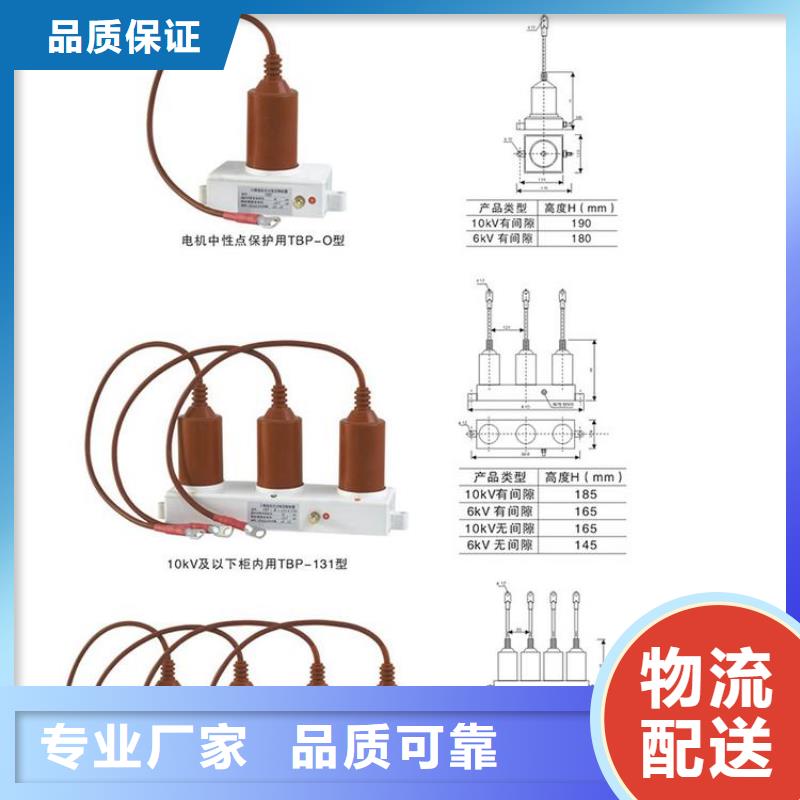 【组合式过电压保护器】TBP-B-6.3/131-J