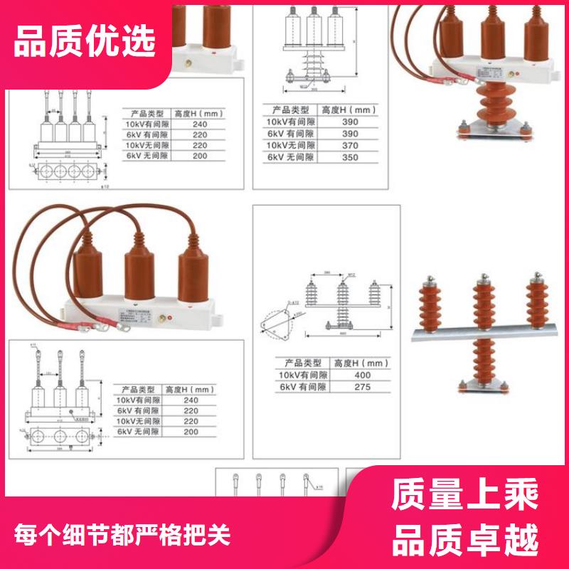 过电压保护器(组合式避雷器)TBP-B-10.5/85-J