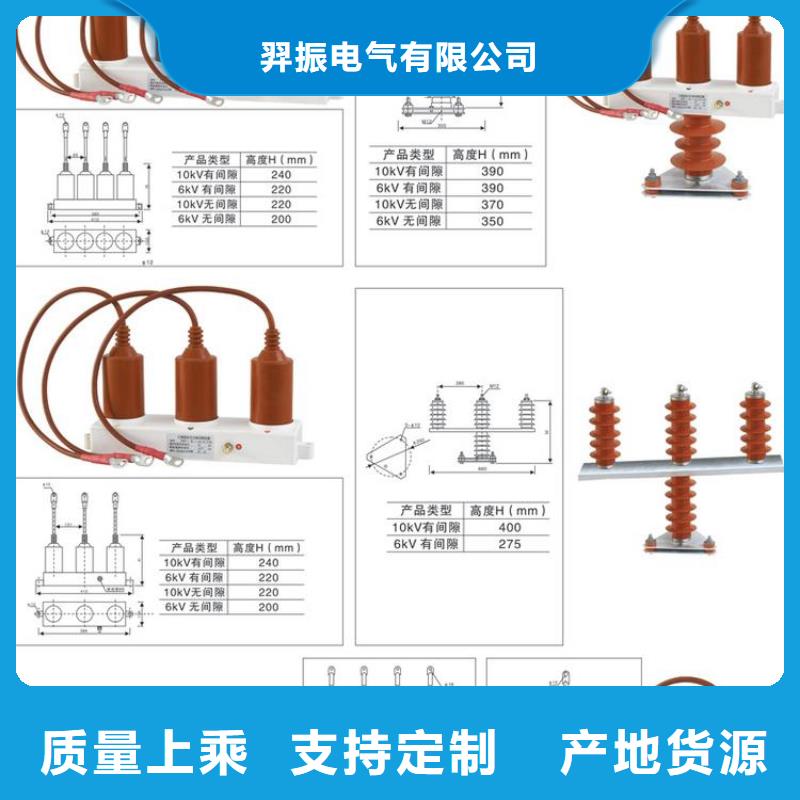 每一处都是匠心制作<羿振>【过电压保护器】TBP-A-7.6/131-J