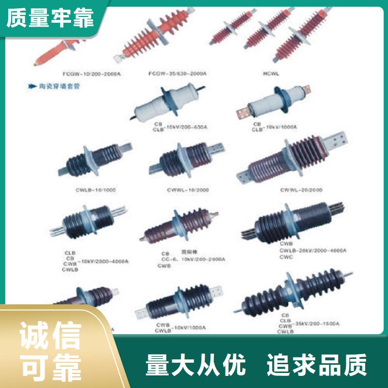 【高压穿墙套管】CWWL-40.5/4000