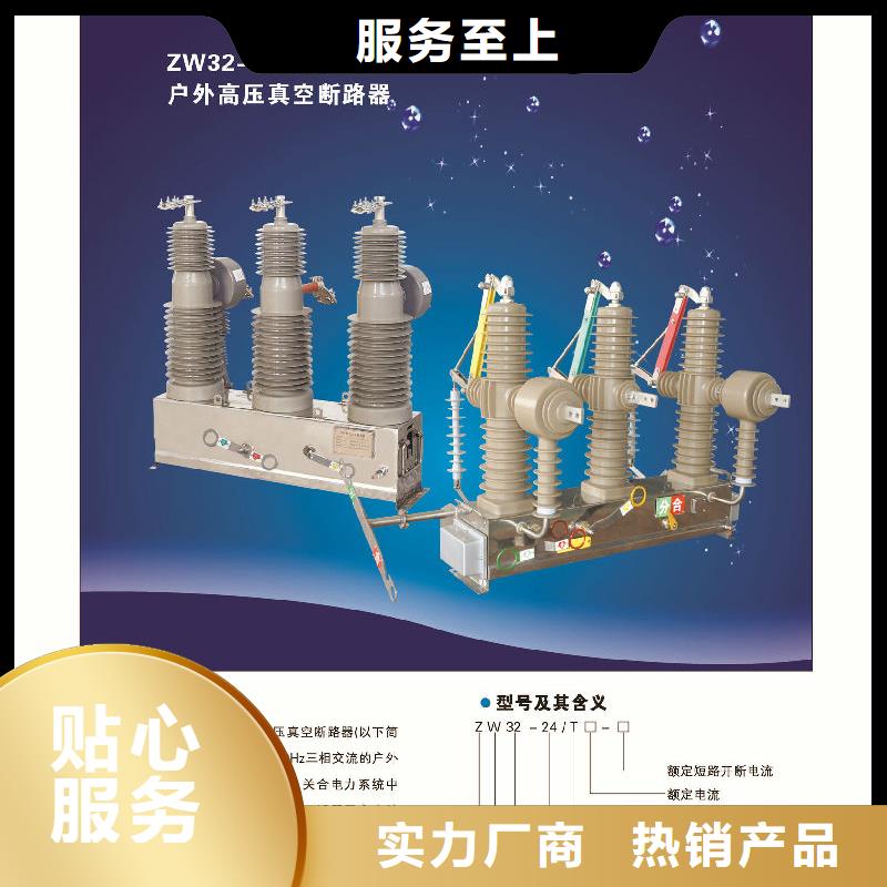 品牌：【羿振电气】永磁真空断路器ZW32M-12G/630-20