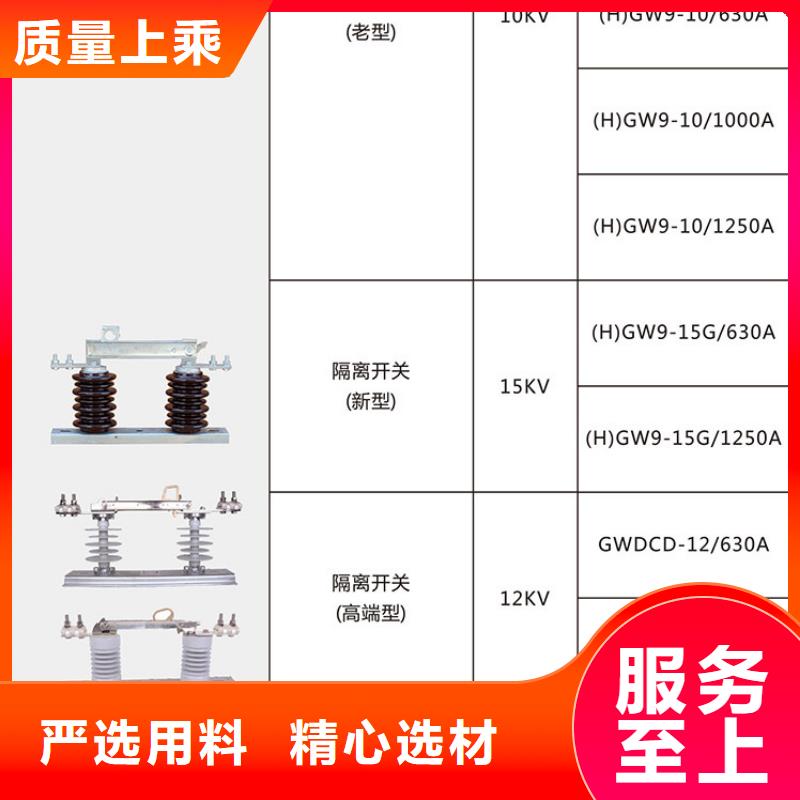 【隔离开关/隔离刀闸】HGW9-10G/200A