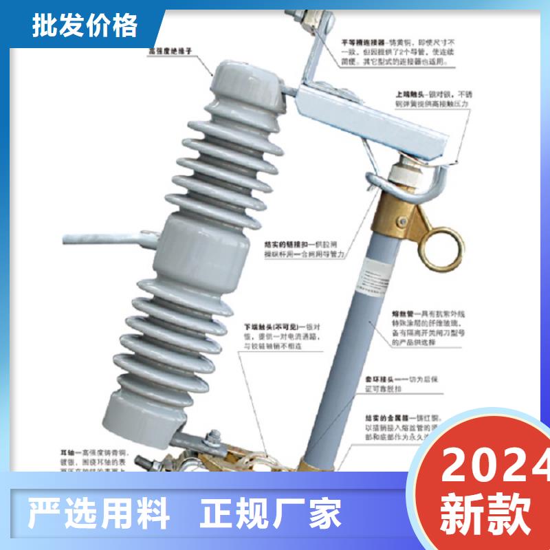 氧化锌避雷器Y10W-96/232发货快浙江羿振电气有限公司