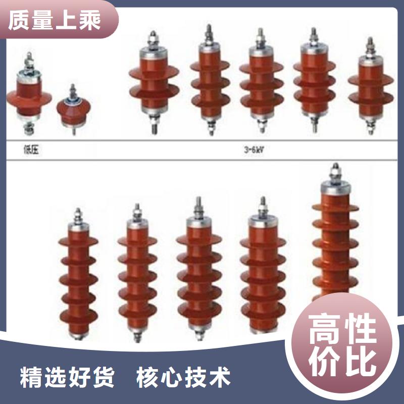 避雷器Y10W-100/260浙江羿振电气有限公司