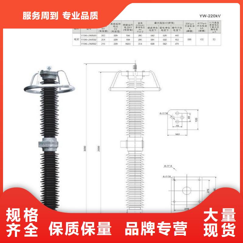 避雷器Y10W1-300/727GW【上海羿振电力设备有限公司】