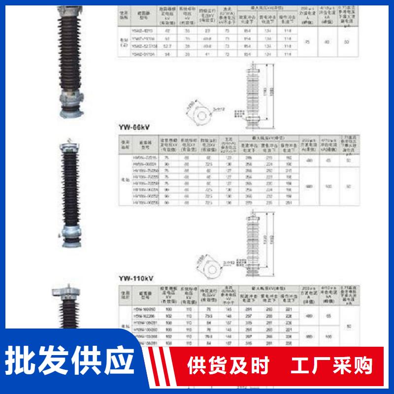 避雷器Y10W-200/496