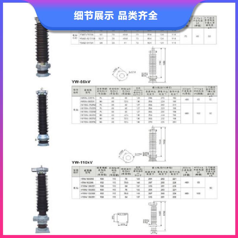 避雷器Y10W1-96/250(G)W