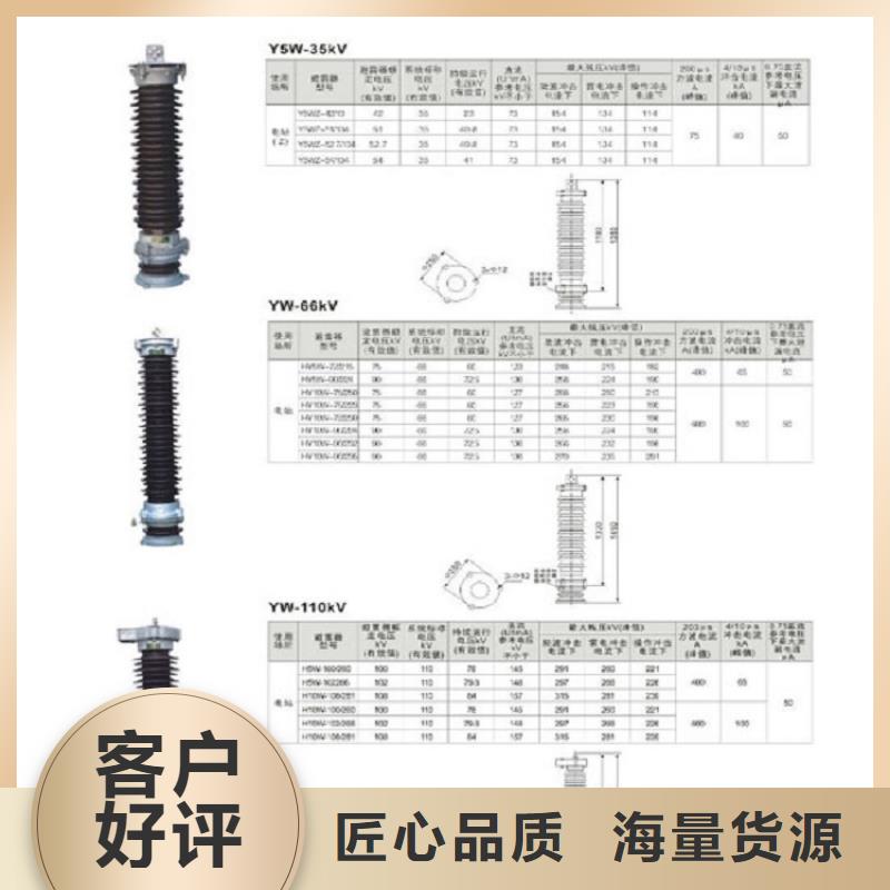 购买(羿振)  避雷器Y10W5-200/520【羿振电力设备】