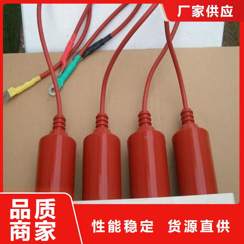 保护器(组合式避雷器)TBP-W-B/10-F组合过电压保护器