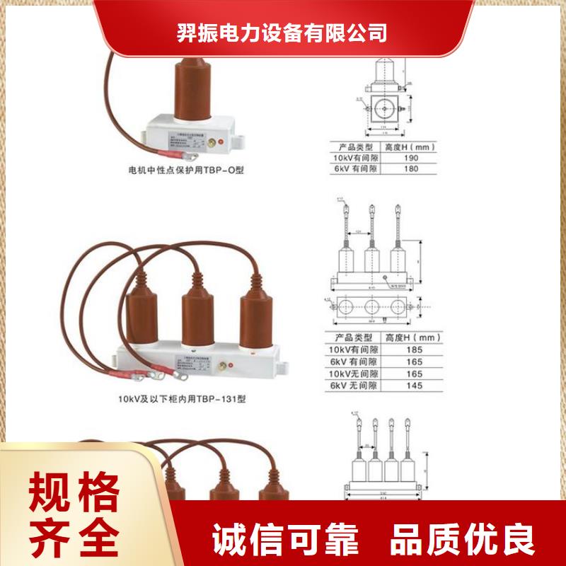 过电压保护器(组合式避雷器)BWKP-A-12.7/131-J