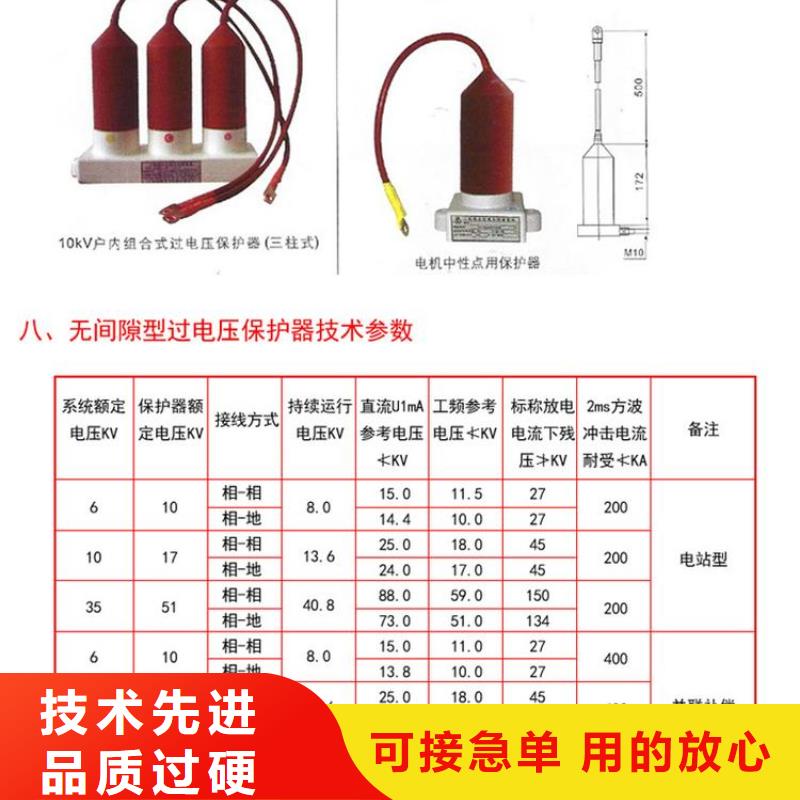 过电压保护器(组合式避雷器)TBP-B-12.7/85-J