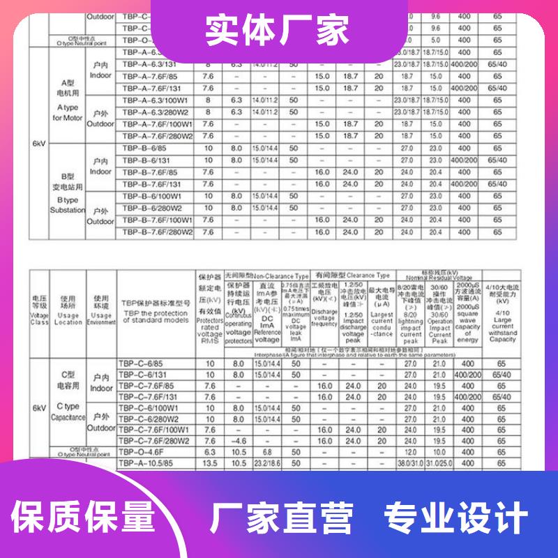 过电压保护器(组合式避雷器)TBP-B-42/280