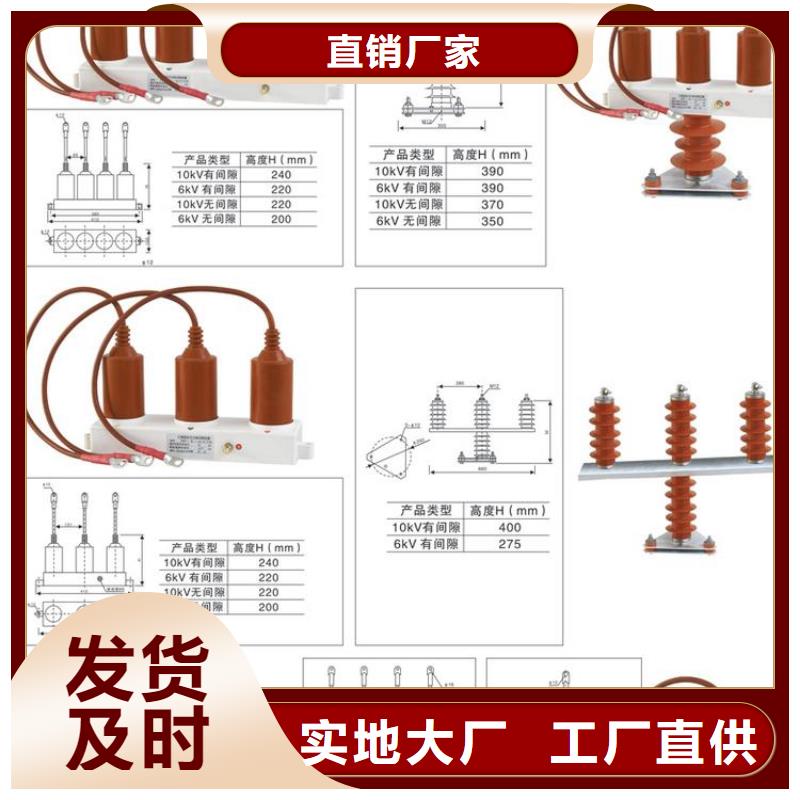 〖过电压保护器〗TBP-C-6/131源头好货