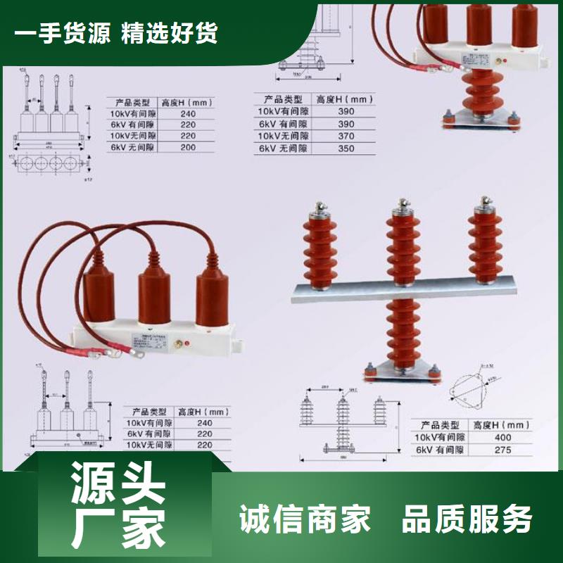 〖过电压保护器〗TBP-C-6/131源头好货