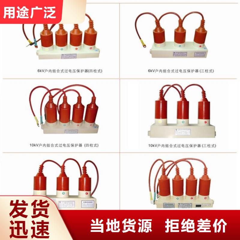 过电压保护器(组合式避雷器)TBP-C-7.6/131-J