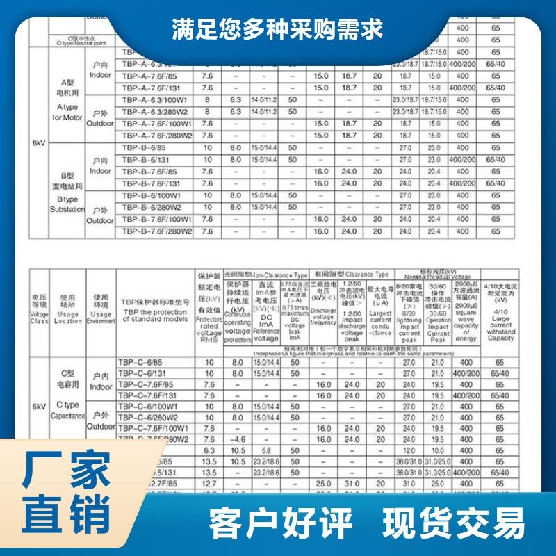 过电压保护器(组合式避雷器)TBP-C-12.7/150