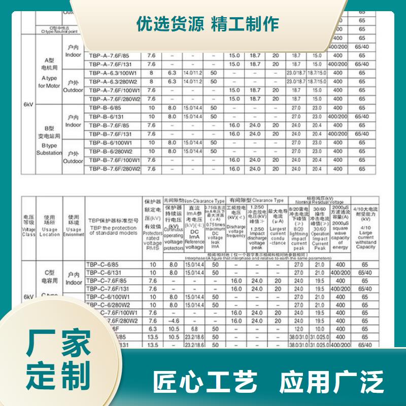 过电压保护器(组合式避雷器)TBP-B-42/280