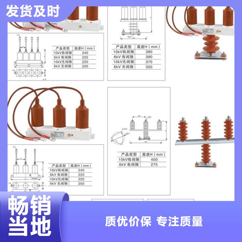 过电压保护器(组合式避雷器)TBP-B-42/280