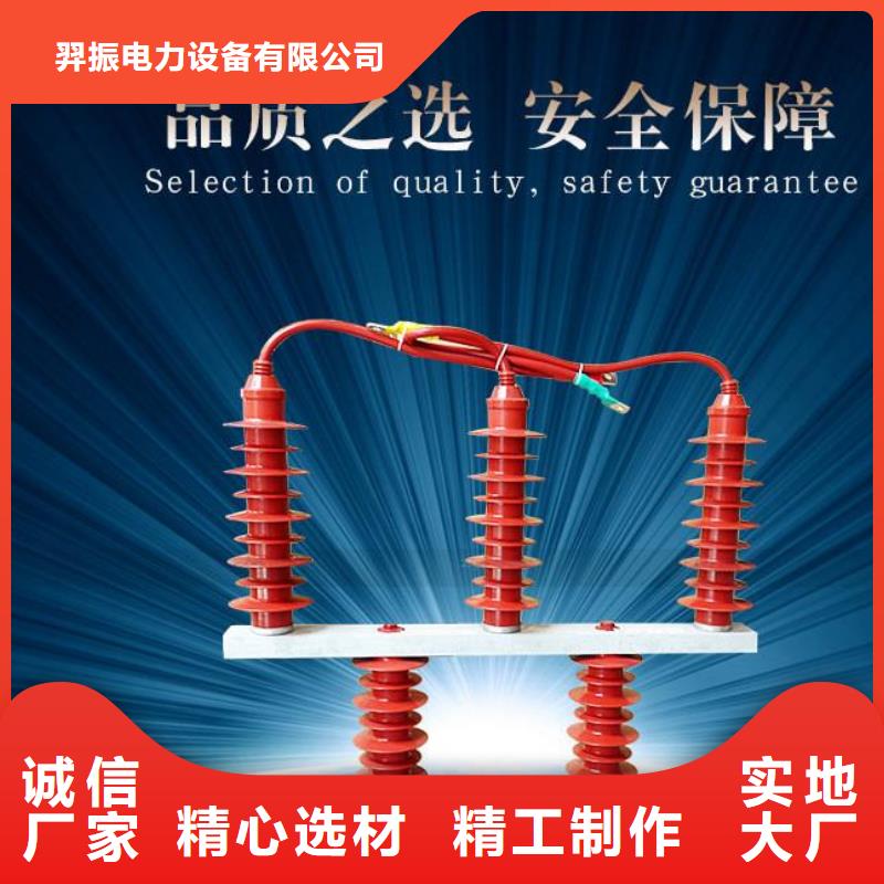 【品质优选[羿振]】保护器(组合式避雷器)TBP-W-A/10-T组合过电压保护器