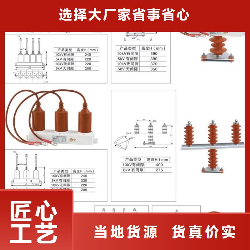 【周边《羿振》】保护器(组合式避雷器)TBP-C-7.6/85-J