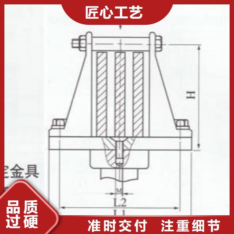 ZSW19-252/8支柱绝缘子【上海羿振电力设备有限公司】