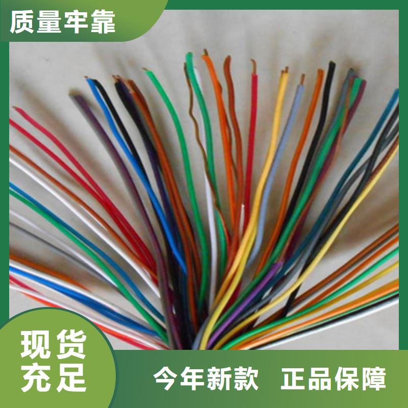 来图来样定制[电缆]BVVSP软芯双绞电缆放心购买