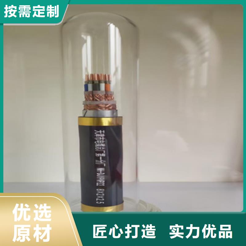 计算机屏蔽电缆HBIYP2YVZ-III1X2X0.75