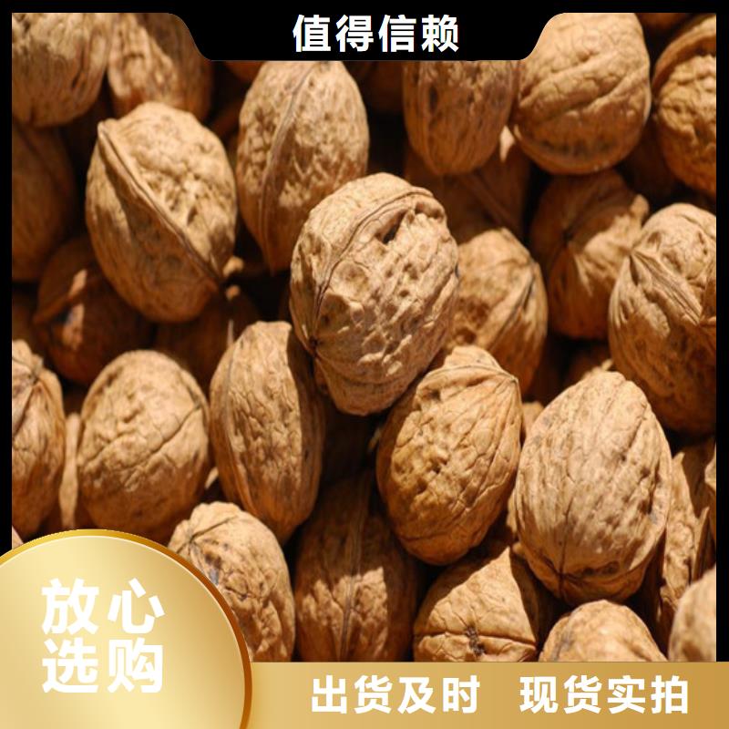 核桃苗【草莓苗价格】严格把关质量放心