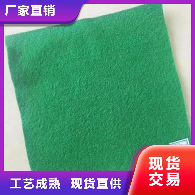 【土工布】防渗膜48小时发货