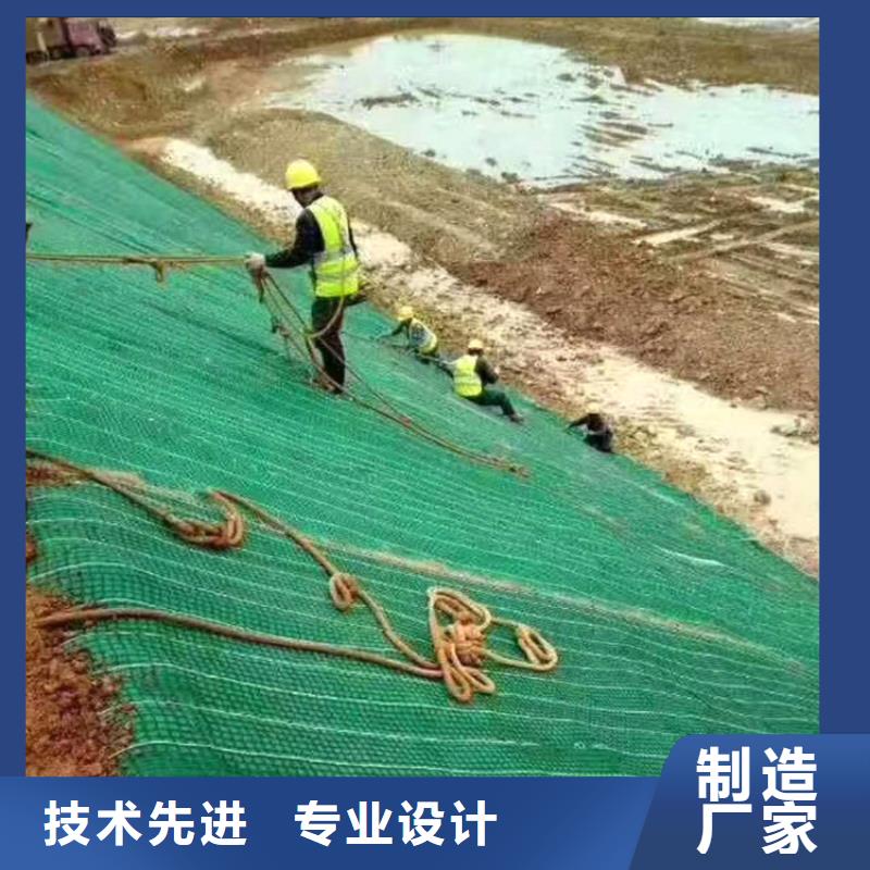 椰丝毯土工膜价格实惠