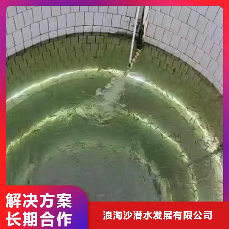 污水厂打捞推流器生产浪淘沙水工