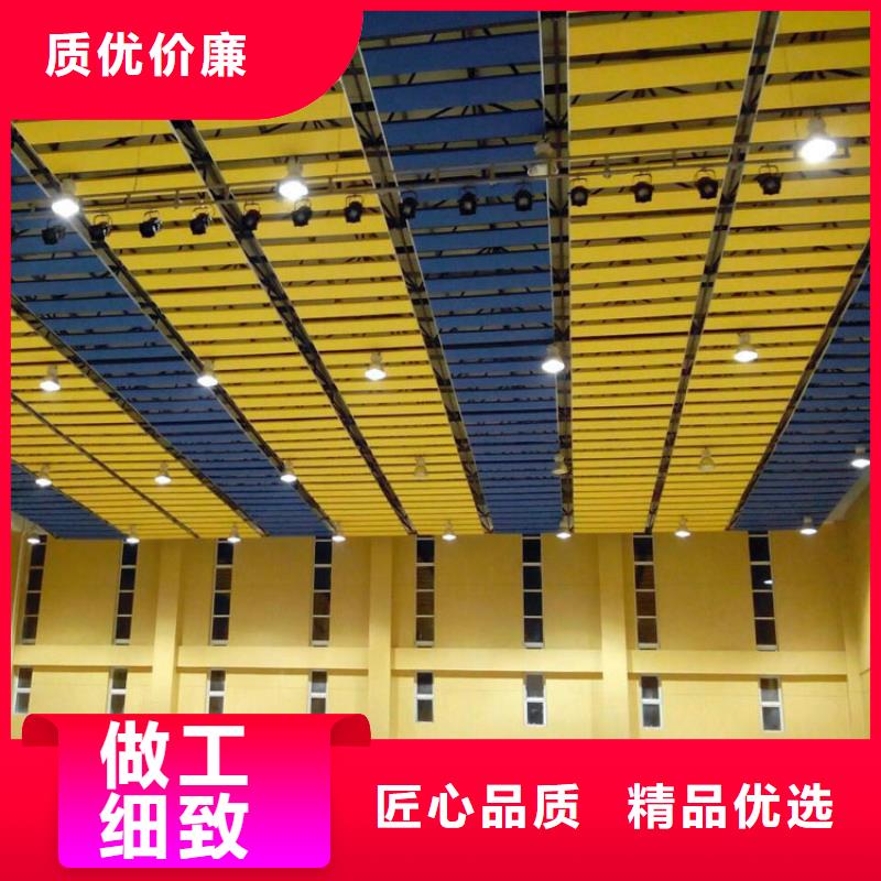 河南省优选《凯音》县学校体育馆声学改造价格--2024最近方案/价格