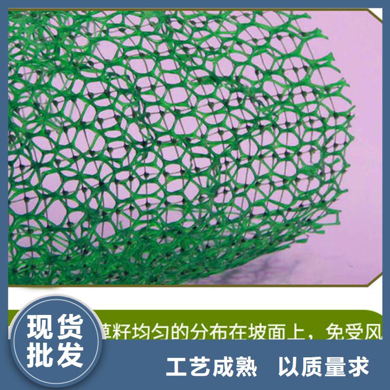 三维植被网土工膜满足您多种采购需求