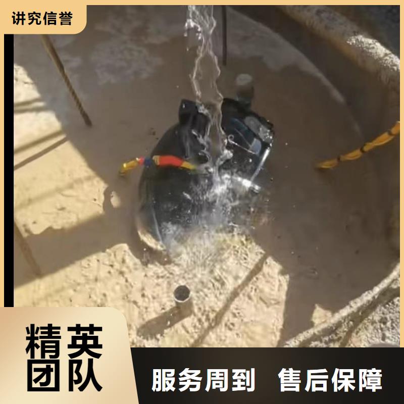 价格行情:水下探摸