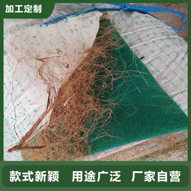 植物纤维毯加筋抗冲生物毯