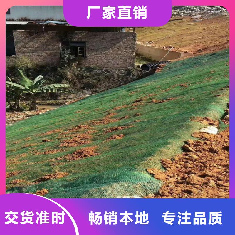 椰纤植生毯加筋抗冲生物毯