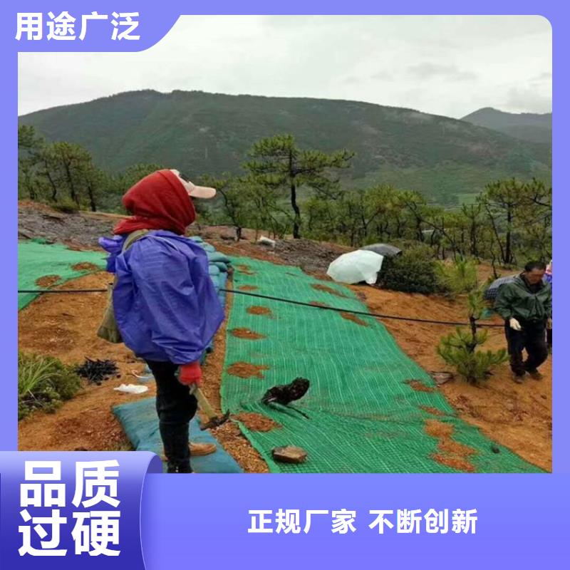 植物生态防护毯护坡植被植草毯厂家-公司供应